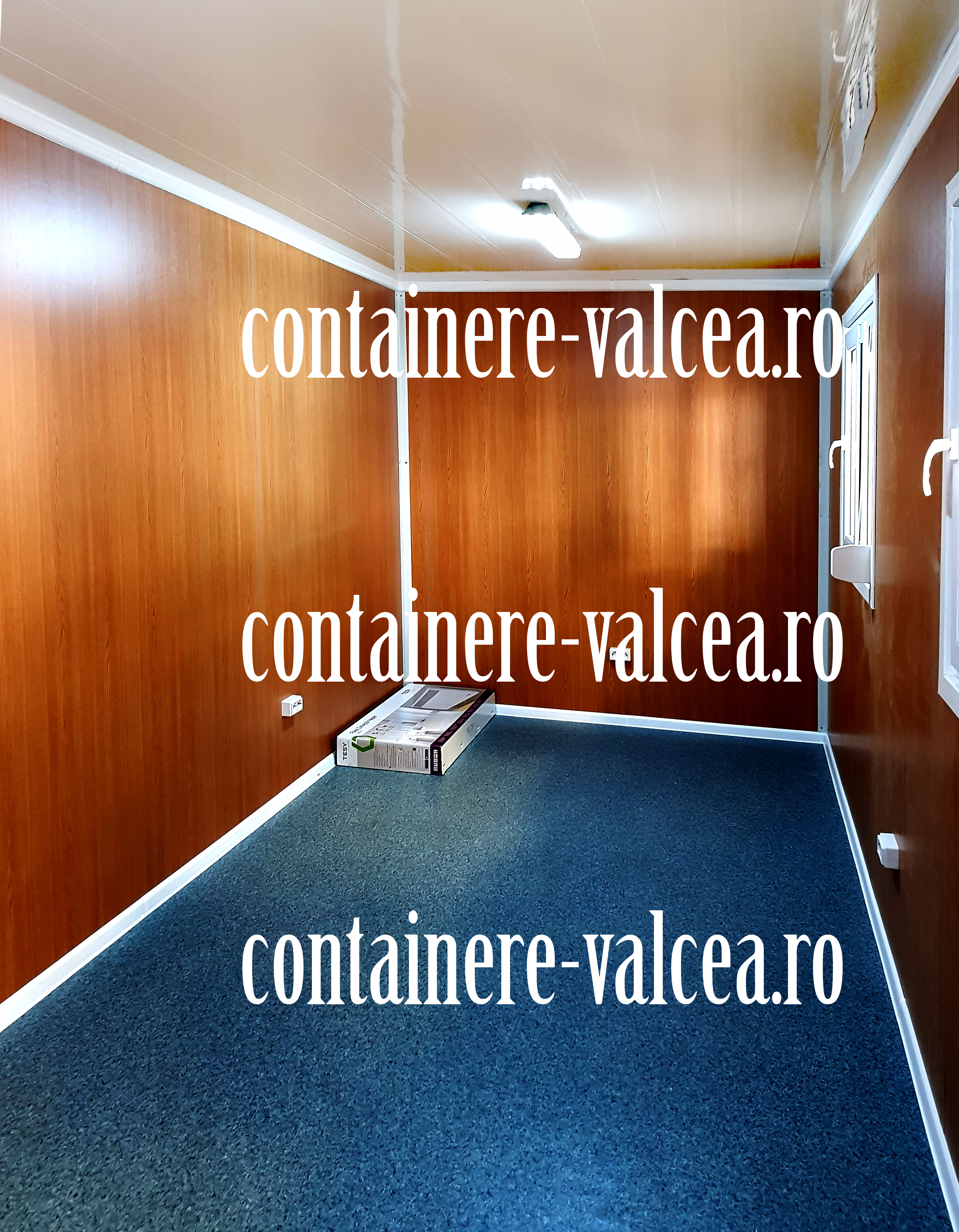 cat costa un container Valcea